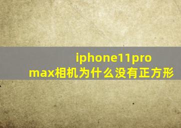 iphone11pro max相机为什么没有正方形